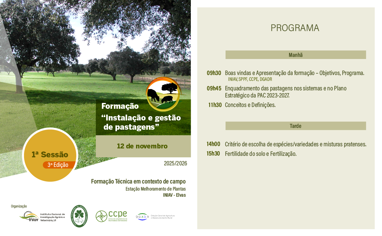1ª sessão IGP 3ªe