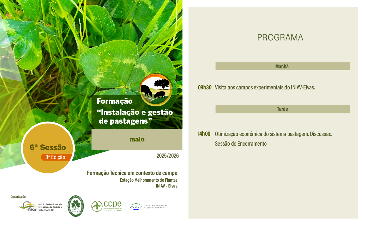 6ª sessão IGP 6ªEd